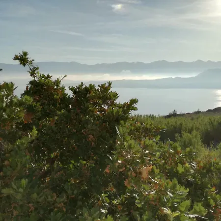 Koncek Apartamento *